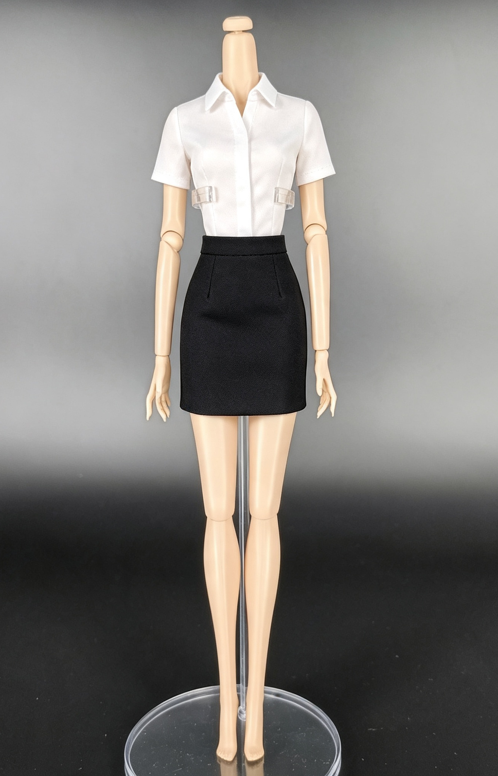 Integrity Toys Fashion Royalty/Nu face Bodies