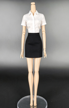 Integrity Toys Fashion Royalty/Nu face Bodies