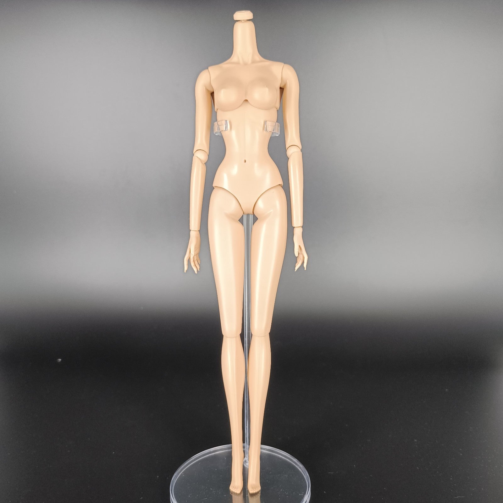 Fashion Royalty Nu face Poppy Parker Integrity Toys Doll Body Adult Collectible